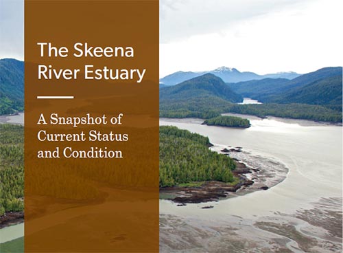 Skeena River Estuary Assessment