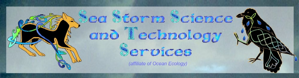 Sea Storm