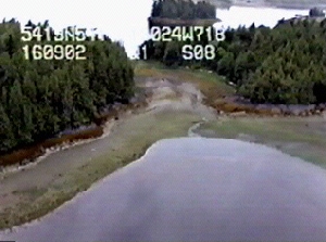 CORI aerial video surveys
