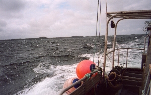 Moody Blue at sea