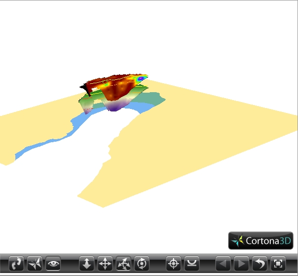 3D eelgrass model