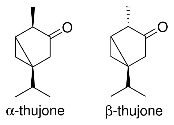 thujone
