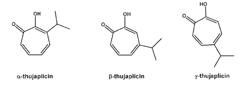 thujaplicin