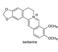 berberine