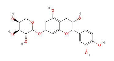polydin